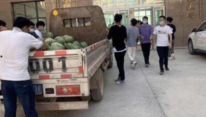 金乡吃瓜事件新闻,一场引发热议的街头冲突事件