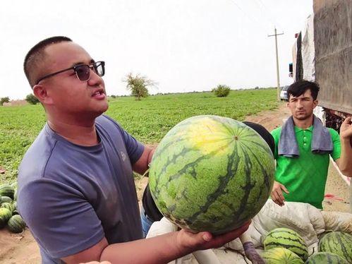 乌鲁木齐吃瓜合集,吃瓜合集里的风味之旅