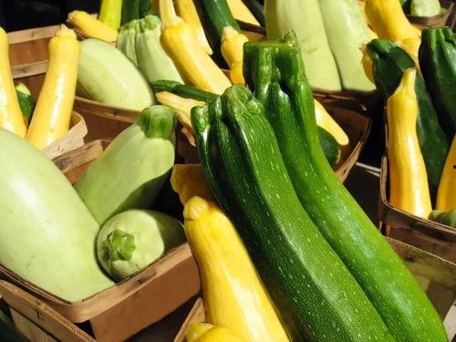 热门吃瓜免费观看,免费观看，一网打尽全网热点！