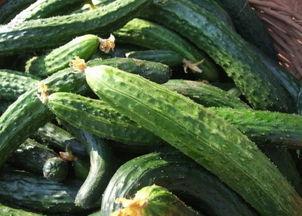 有没有吃黄瓜的瓜的图片,是瓜还是非瓜，一图揭晓真相