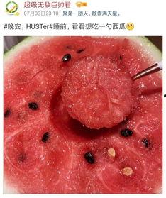 吃瓜课程,轻松掌握美食与生活的艺术