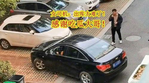 女司机撞人后吃瓜,围观群众“吃瓜”背后的社会现象解析