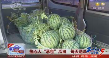 瓜田吃瓜王麻子,王麻子的趣味人生