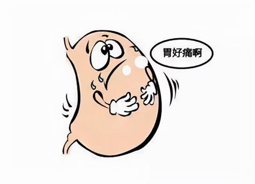 吃网纹瓜胃痛,胃痛警示需警惕