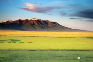 门源吃瓜,揭秘当地特色美食背后的故事