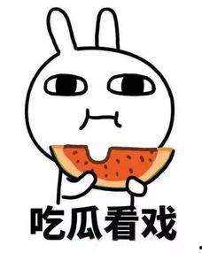 激萌瓜带你逛吃逛吃,尽享味蕾盛宴