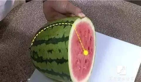 吃瓜用的小叉子,揭秘吃瓜小叉子的魅力与用法