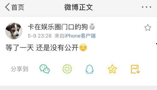 小蓝爆料吃瓜,娱乐圈最新吃瓜大揭秘！