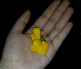 热门吃瓜视频素材,娱乐圈幕后真相大曝光！