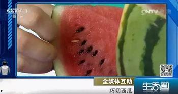 吃瓜不吐籽1996,1996年“吃瓜不吐籽”现象背后的社会文化解读