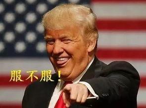 吃瓜的疯子,网络红人的崛起与争议