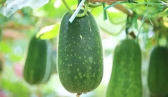 4月吃瓜事件,盘点那些引人瞩目的娱乐圈风云