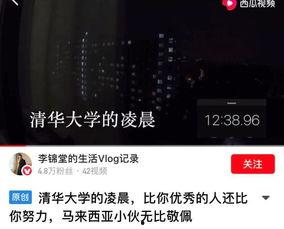在线吃瓜vlog视频,在线吃瓜vlog背后的故事与魅力