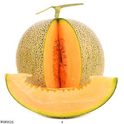 小螳螂吃哈密瓜吗