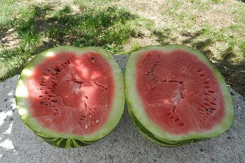 梦见吃别人剩下的瓜,揭秘吃别人剩下的瓜的神秘寓意