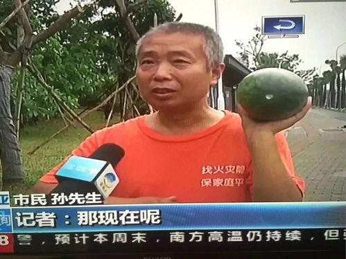 网络吃瓜热门事件