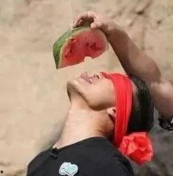 看瓜吃瓜路人甲,揭秘娱乐圈幕后故事