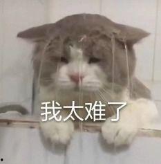 内娱吃瓜合集最新,盘点娱乐圈最新热点事件