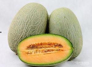 吃哈密瓜水分,滋养身心，润泽每一天