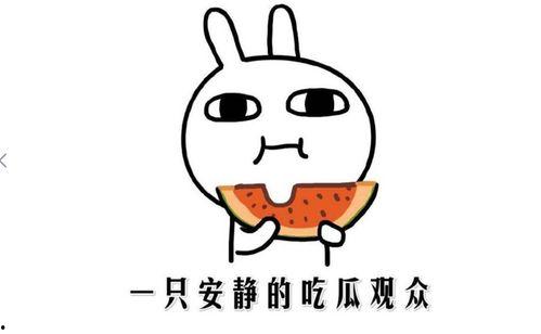 吃瓜著名事件,揭秘那些年我们一起吃过的瓜